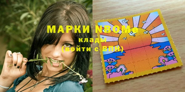 бошки Туринск