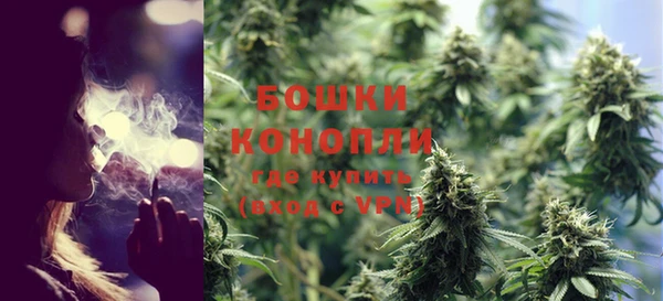 индика Тутаев