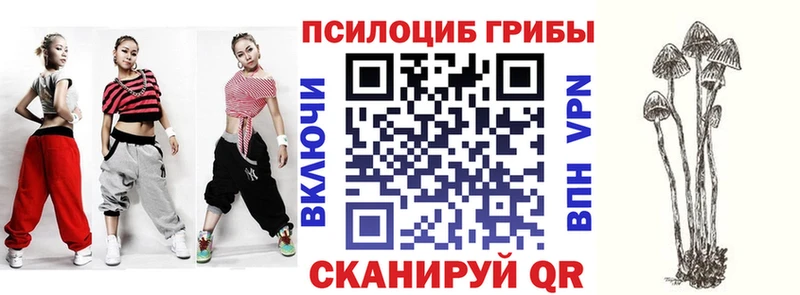 Псилоцибиновые грибы Magic Shrooms  Кунгур 