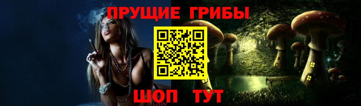 Кунгур  Псилоцибиновые грибы GOLDEN TEACHER  Вход с VPN 